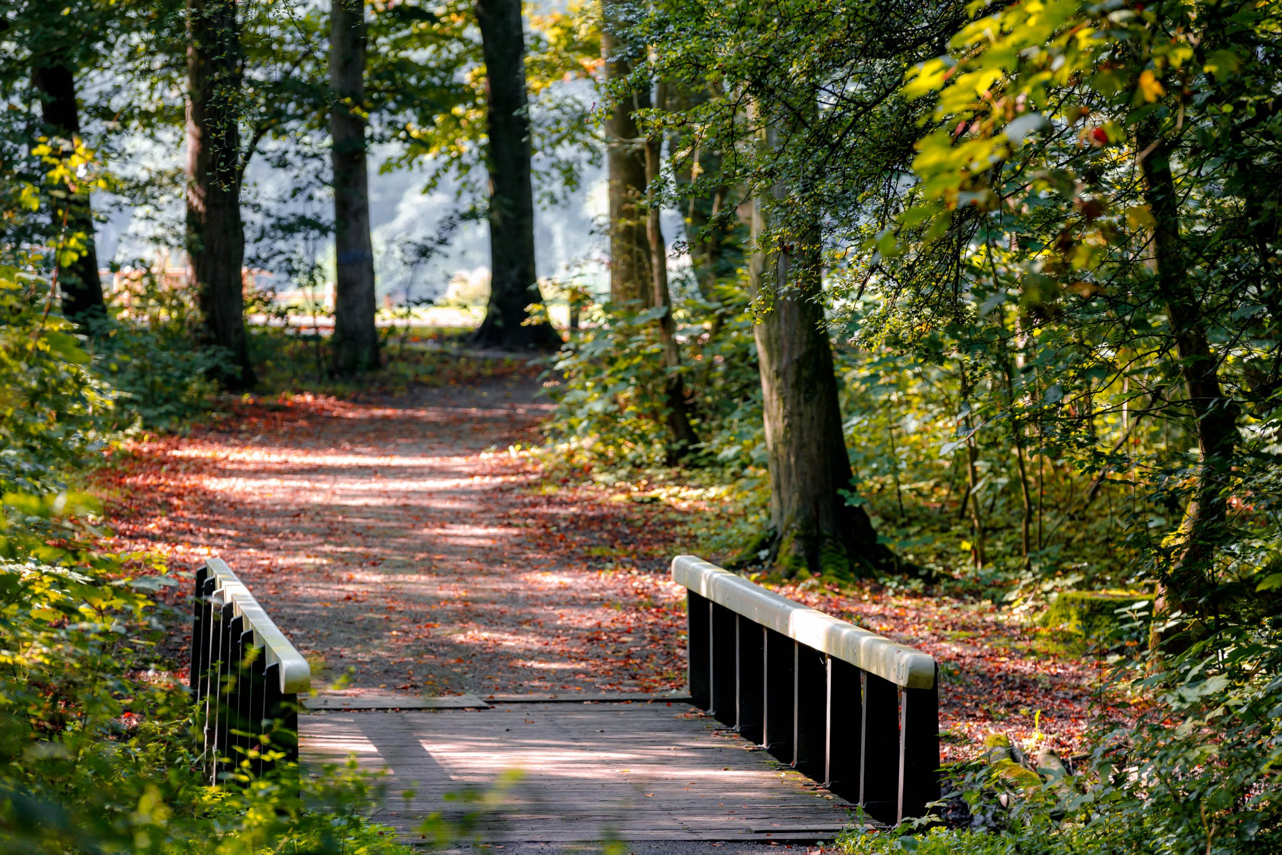 Autumn,Landscape,View,Of,White,Wooden,Bridge,Crossing,Canal,With