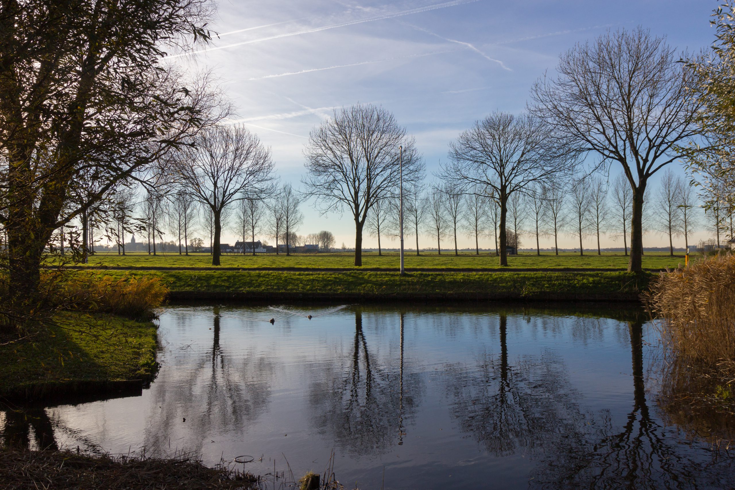 Canals,Of,Amstelveen,,The,Netherlands,,Autumn,Time